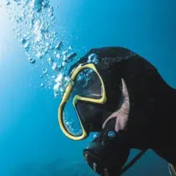 mascara beuchat 1 dive senior silicona - mascara beuchat 1 dive senior trans amarilla 04 mascara-beuchat-1-dive-senior-trans-amarilla-04