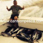 Miguel "Solleric" captura un atún de unos 20kg con un posible mordisco de tiburón - miguel solleric captura un atun de unos 20kg con un posible mordisco de tiburon 03