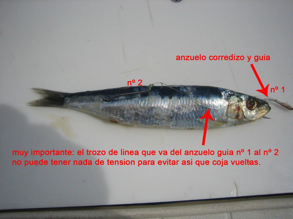 cansionpesca.com