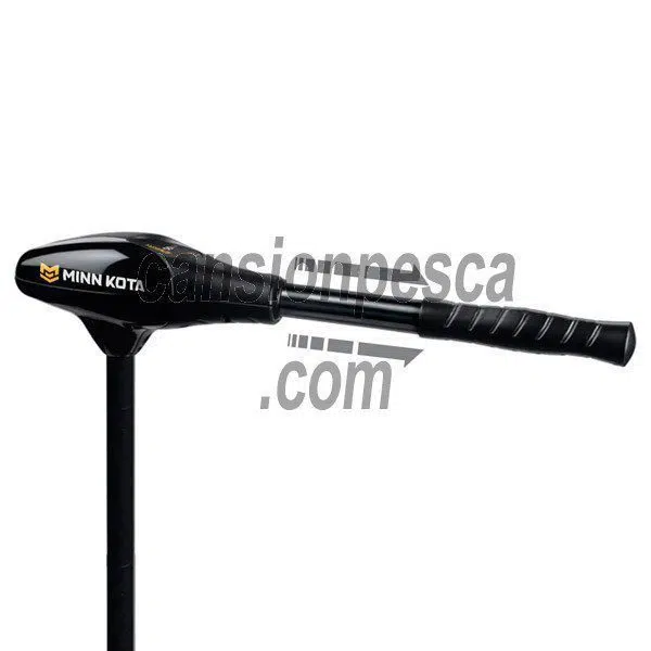 minn kota endura 30 c2 - Imagen 2