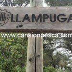 Nombres de peces en las calles del Port d'es Canonge - nombres de peces en las calles del port des canonge Nombres de peces en las calles del Port d'es Canonge - nombres de peces en las calles del port des canonge