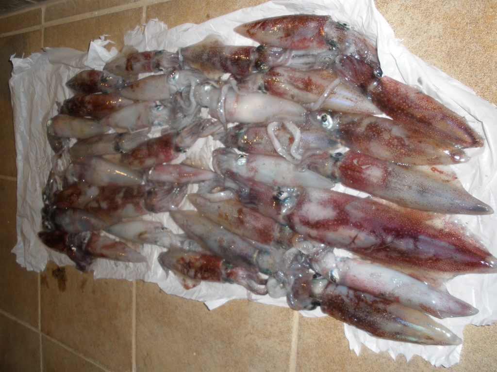 cansionpesca.com