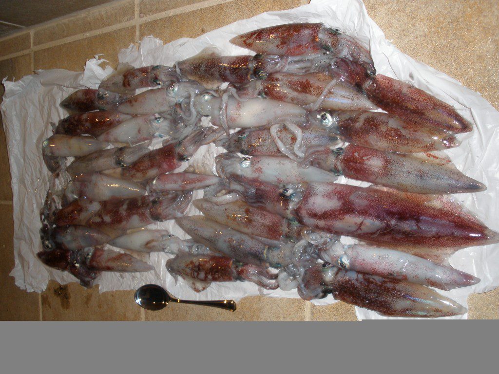 cansionpesca.com