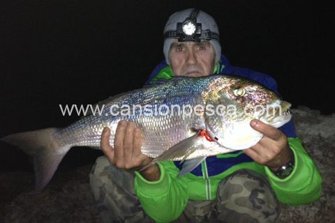 Pepin captura un buen ejemplar de denton desde la costa - pepin captura un buen ejemplar de denton desde la costa pepin-captura-un-buen-ejemplar-de-denton-desde-la-costa