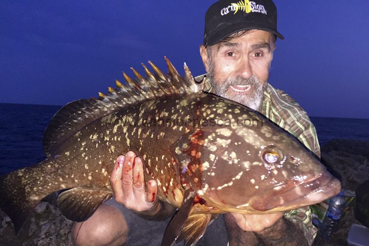 Pepin Lubina, mero de 6.800gr desde costa con black minnow - pepin lubina mero 6 800gr desde costa black minnow Pepin Lubina, mero de 6.800gr desde costa con black minnow - pepin lubina mero 6 800gr desde costa black minnow