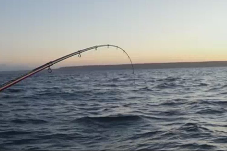 Pesca de cantares con la caña Hams D'Or Punta Salinas en Gent de la mar - pesca de cantares con la cana hams dor punta salinas en gent de la mar 02 pesca-de-cantares-con-la-cana-hams-dor-punta-salinas-en-gent-de-la-mar-02