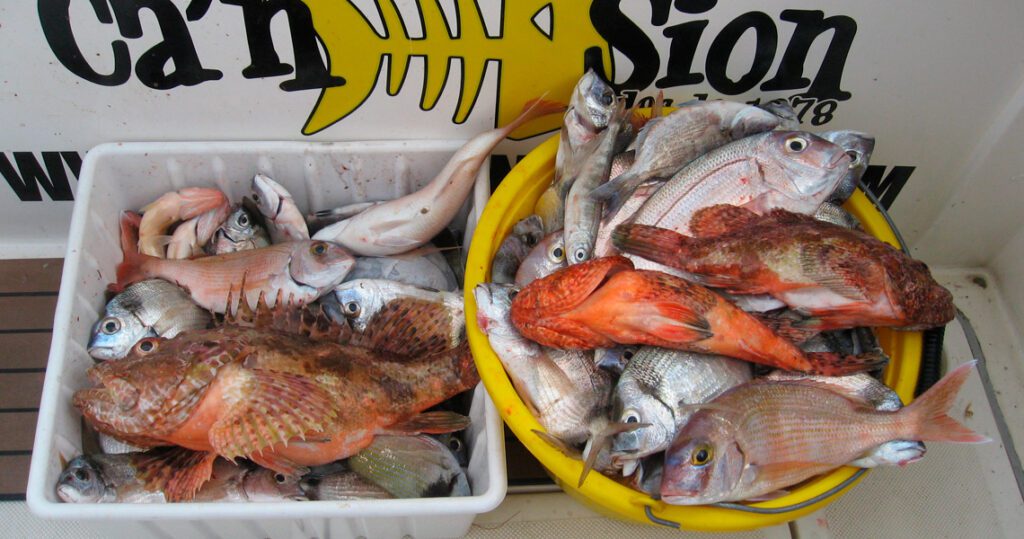 cansionpesca.com