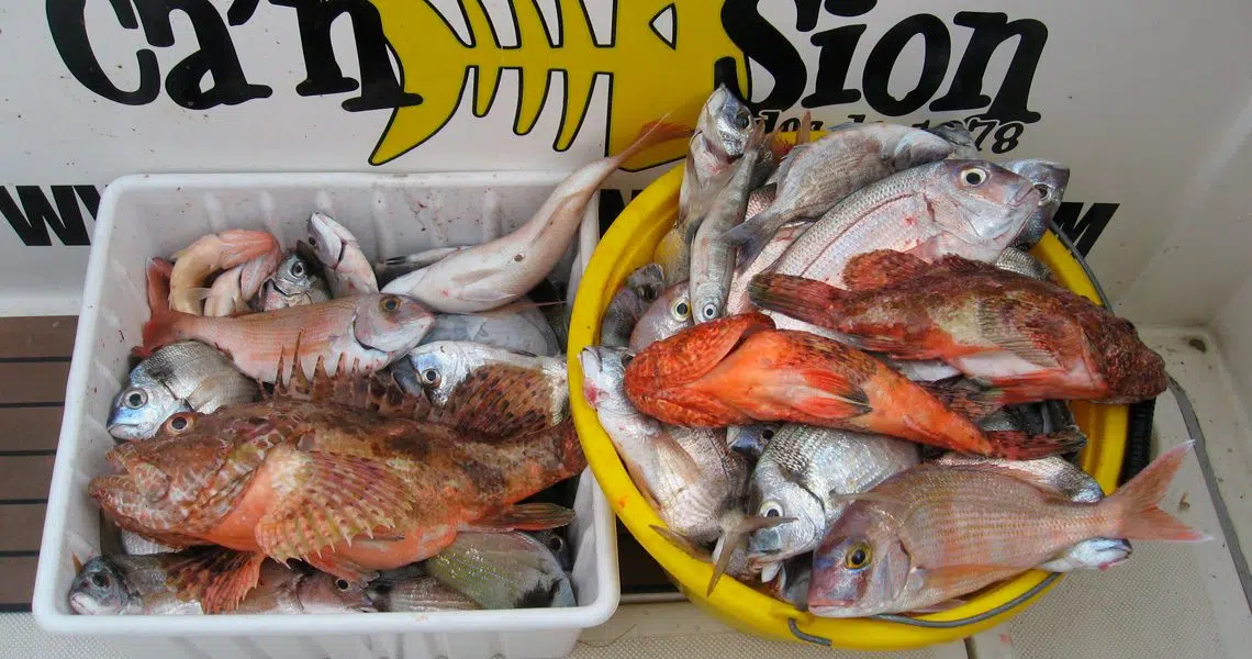 CHARTER DE PESCA - pesca de fondo 1
