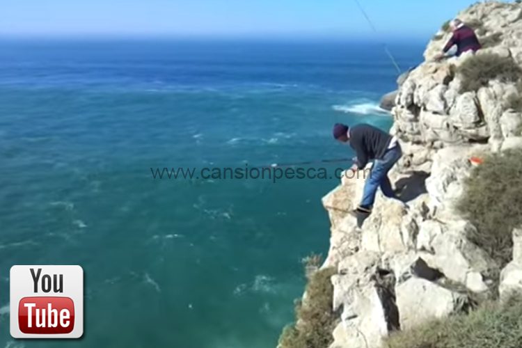 Pesca de Sargos desde acantilados - pesca de sargos desde acantilados