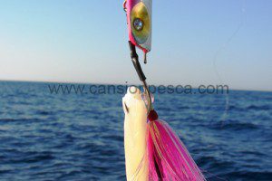 PESCA D'ILLES - Inckiku amb sípia i ráfia - pesca dilles inchiku amb sipia i rafia