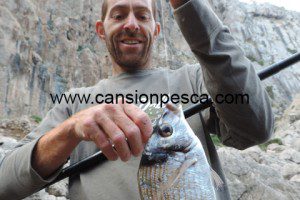 PESCA D'ILLES - Pesca amb pasteta - pesca dilles pesca amb pasteta