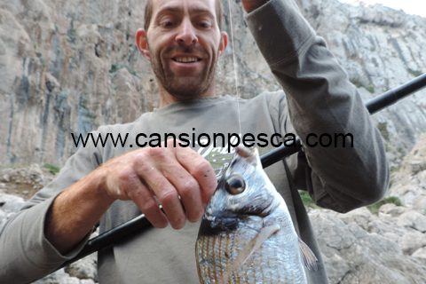 PESCA D'ILLES - Pesca amb pasteta - pesca dilles pesca amb pasteta