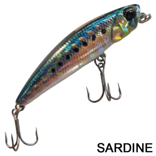 pez-rigido-duo-yurameki-tetra-sardine