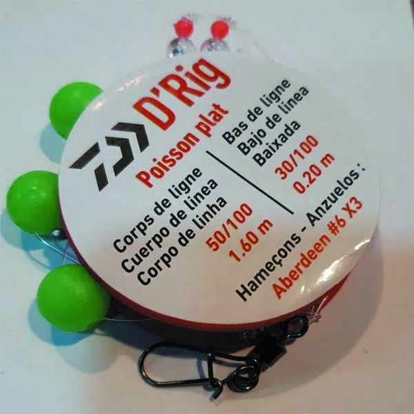 Alternative view of pie daiwa poisson plat d rig