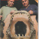 REPORTAJE EN BRISAS AÑO 1988 TIBURONES EN MALLORCA - shark2 001