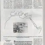 REPORTAJE EN BRISAS AÑO 1988 TIBURONES EN MALLORCA - shark4 002 REPORTAJE EN BRISAS AÑO 1988 TIBURONES EN MALLORCA - shark4 002