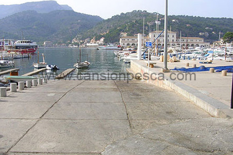 Tarifa plana de 50€ para rampas en Baleares - tarifa plana de 50€ para rampas en baleares tarifa-plana-de-50€-para-rampas-en-baleares