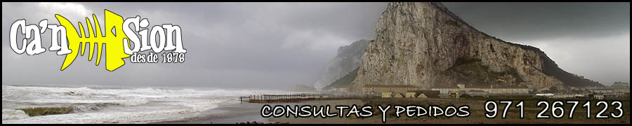 cansionpesca.com