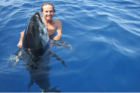tiburones-en-mallorca-02