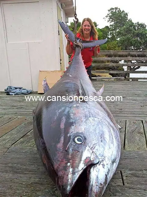 una-mujer-consigue-el-record-mundial-de-captura-atun-rojo-411-6kg-02