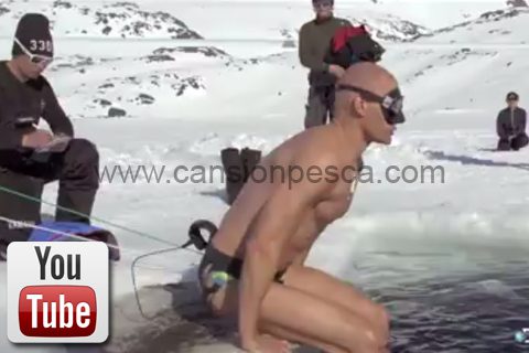 Video apnea de 75m en las gelidas aguas de groenlandia sin neopreno - video apnea de 75m en las gelidas aguas de groenlandia sin neopreno