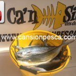 Video cocinando llampuga amb prebes con youtube - video cocinando llampuga amb prebes con youtube 01