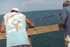 VIDEO PESCANDO DESDE UN PANTALAN A 10M DE ALTURA - video pescando desde un pantalan a 10m de altura
