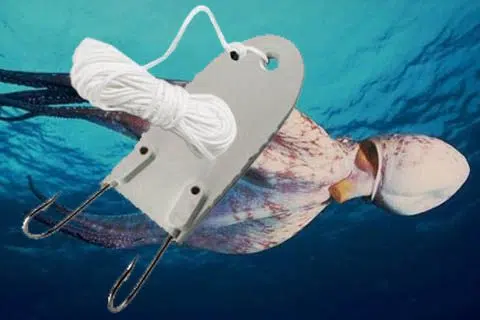 Empieza la temporada del pulpo - visite nuestra nueva seccion de pulperas Empieza la temporada del pulpo - visite nuestra nueva seccion de pulperas