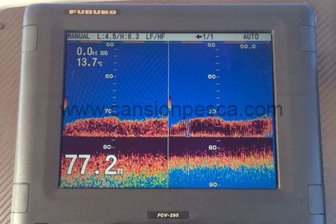 ya-estan-aqui-las-cantaras-02
